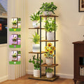 iDavosic.ly 5 Tier Plant Stand Indoor by iDavosicly