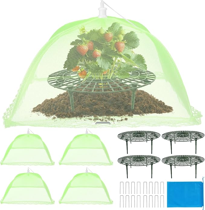 6 Sets Strawberry Plant Support by Unknown