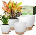 Self-Watering Pots for Indoor Plants 4 Pack, 6/8/10/12 Inch Outdoor Planters by GOPROAUTO