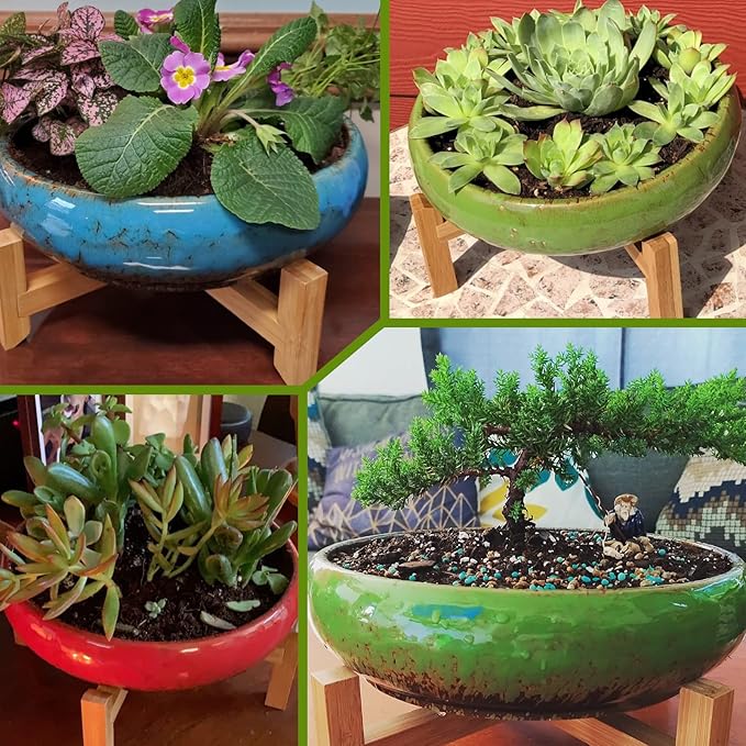 Succulent Pots, 10 Inch Large Succulent Planters - Image 6