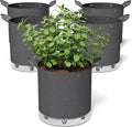 Self-Watering Grow Bags, for Low Stress Plant Training Fruits, Vegetables by Patigrow