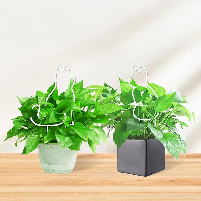 Cat-Shaped Small Trellis for Potted Plants, 13 inches Hoya Trellis 2 Pack - Image 7