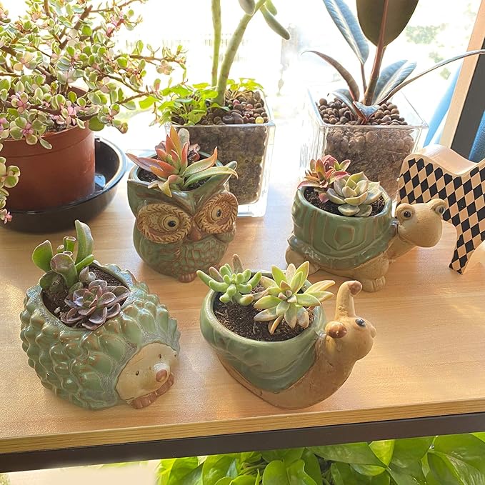 Small Ceramic Succulent Pot - Image 5