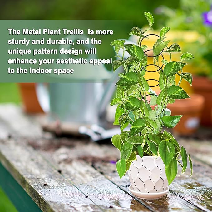 17.5 Inch Plant Trellis Indoor for Climbing Plants, Metal Trellis, Small Garden - Image 5