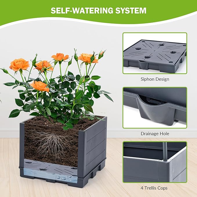 GENMOUS Raised Garden Bed with Tomato Planter Box Trellis, Tomato Planter Cage - Image 4