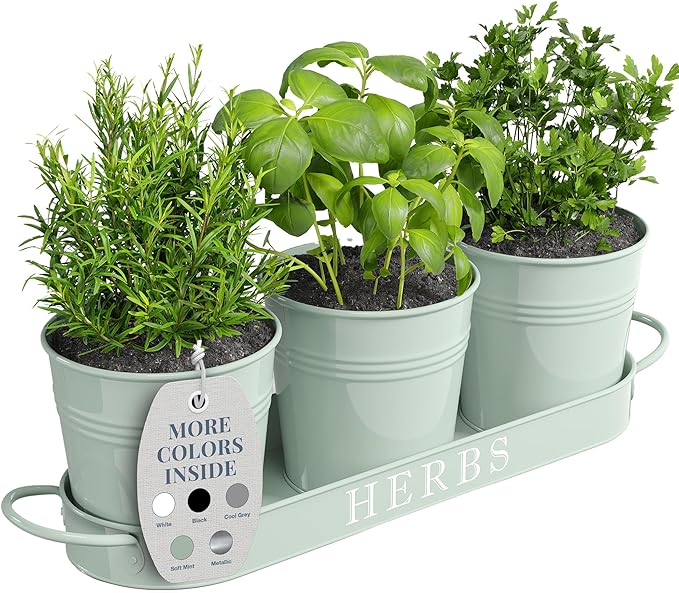 Barnyard Designs Indoor Herb Garden Planter Set by BarnyardDesigns