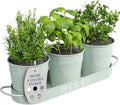 Barnyard Designs Indoor Herb Garden Planter Set by BarnyardDesigns