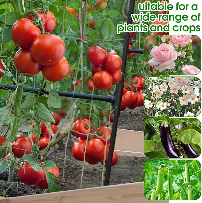 Lalahoni Garden Arch Trellis for Climbing Plants Outdoor, 7.8 Feet Tall Metal - Image 7
