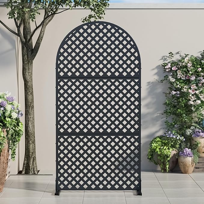 Casaphoria 72" H x 35" W Arched Metal Privacy Screen by Casaphoria
