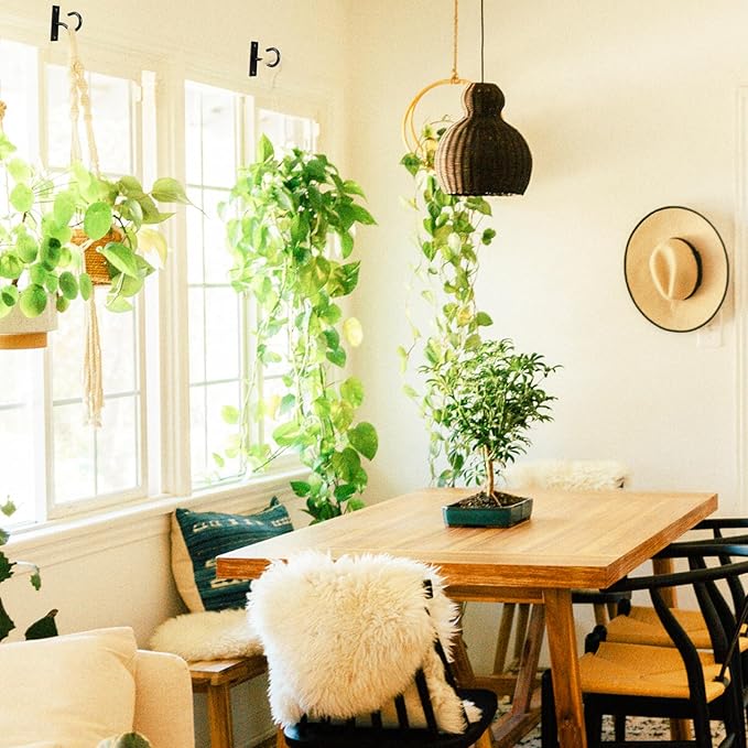 6Pack 2.5Inch Ceiling Hooks for Hanging Plant, Hanger for Indoor and Outdoor - Image 8