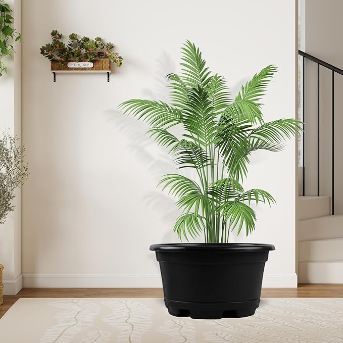 Outdoor Flower Pots 5 Packs 13 inch pots - Image 2