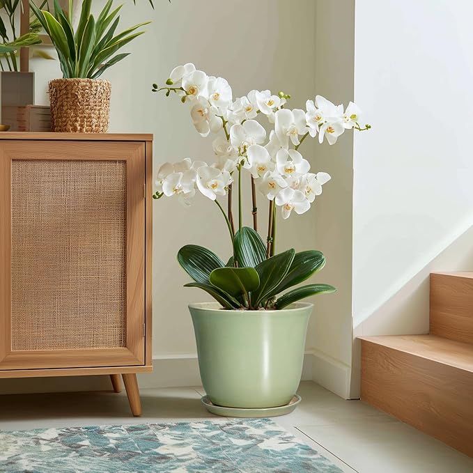 Ceramic Planter - Image 5