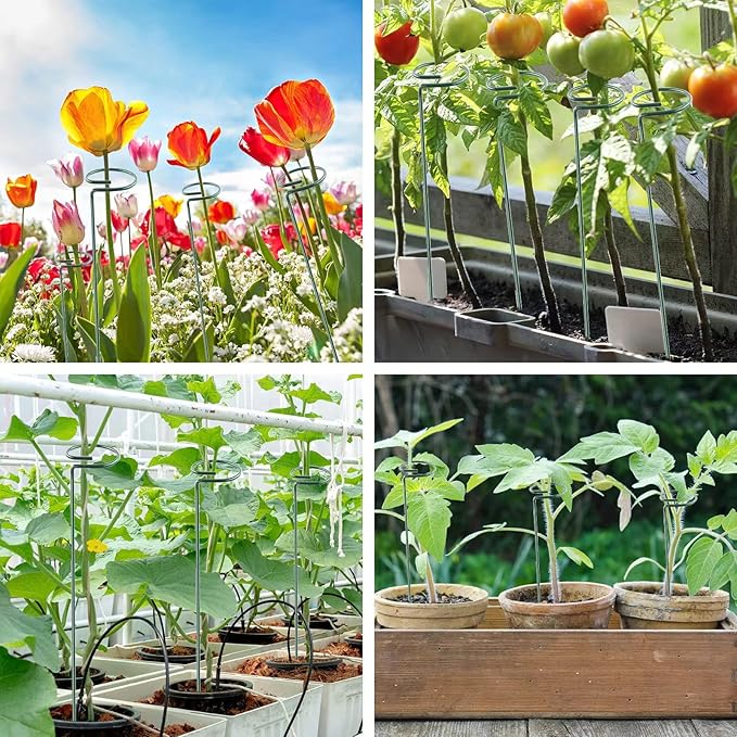 36 Inch 12 Packs Plant Support Stakes, Garden Single stemmed Plant Support Hoops - Image 5