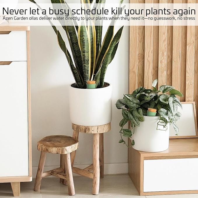 Ollas Plant Watering Globes - Image 7
