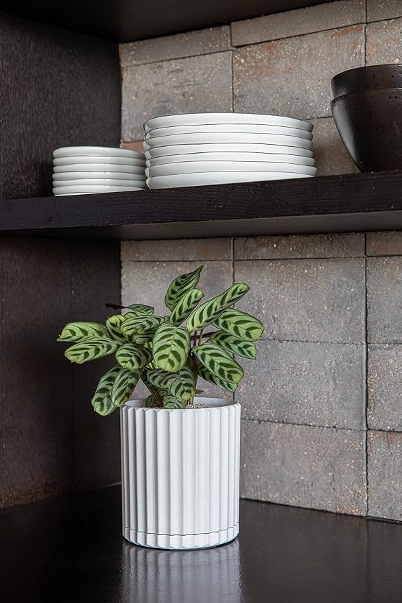Veradek Demi Series Demi 6" Planter w/Tray - Image 5