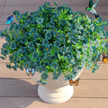 JAKY-Global Faux Artificial Plants Outdoor Flowers Spring Summer Decoration 16 by JAKY-Global