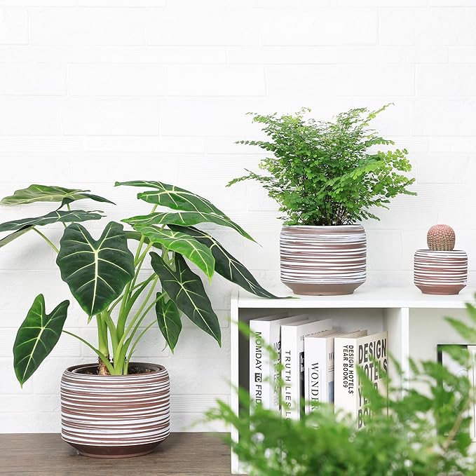 8 Inch + 6 Inch Ceramic Plant Pots Indoor - Image 4