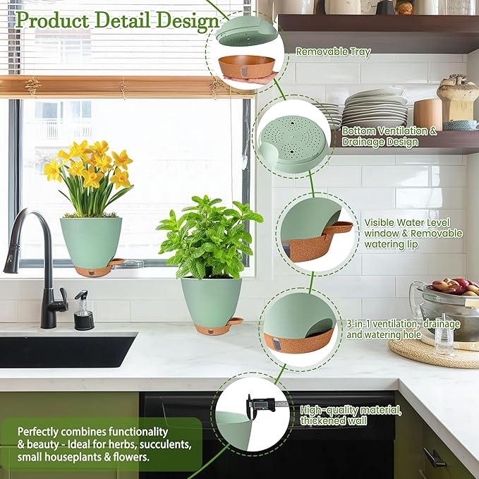 6 Inch Self Watering Pots for Indoor Plants – Small Plastic Planters - Image 6