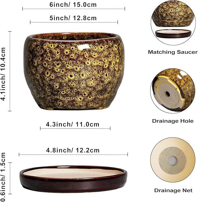 SQOWL 6 Inch Plant Pot - Image 3