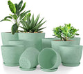Utopia Home - Spotty Plant Pots Indoor - 7/6.6/6/5.3/4.8 Inches Flower Pots - by UTOPIAHOME