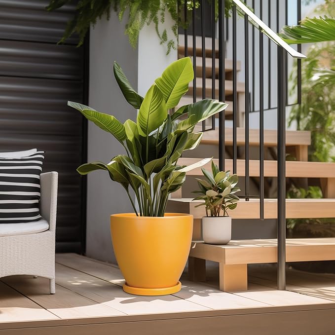 10 Inch Plant Pot - Image 5