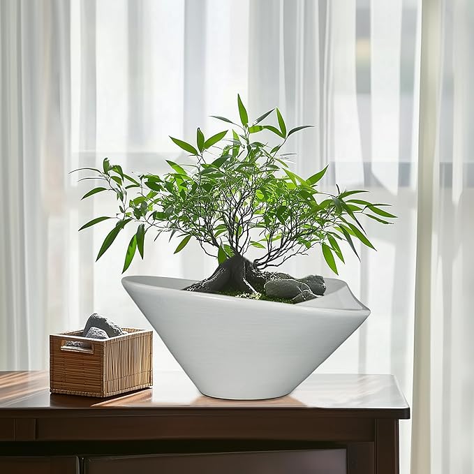 Bonsai Pots 13 Inch - Image 2
