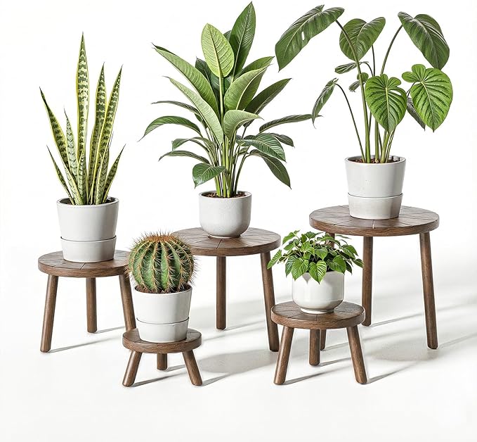 Delma Wood Plant Stands Indoor, Mid-Century Modern Plant Stool, Tall Plant Stand by Delma