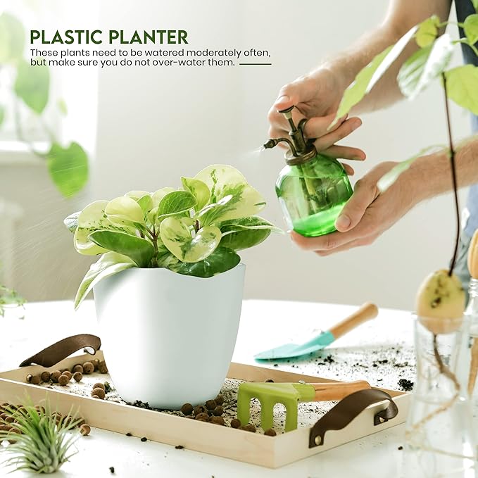 Utopia Home Plant Pots Indoor - Image 4