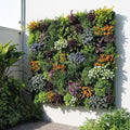 36 Pockets Living Wall Planter Indoor, Self Watering Wall Hanging Planters by Unknown