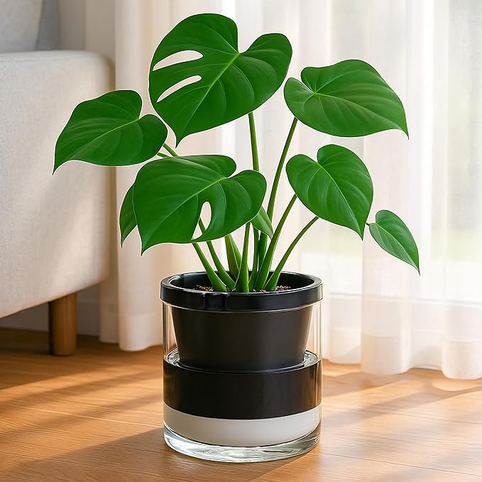 D'vine Dev 8 Inch Design Self Watering Planter - Image 4