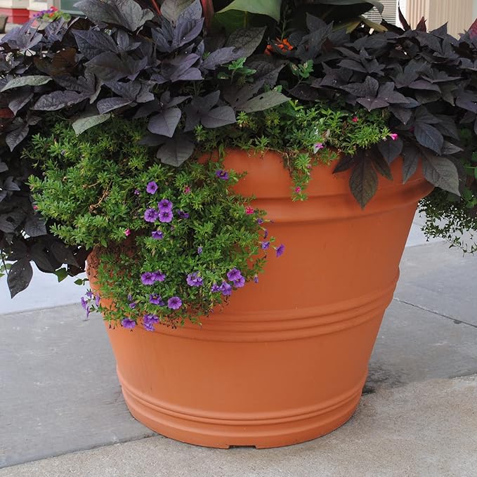 Tusco Products Rolled Rim Garden Planter, Terra Cotta - Image 4