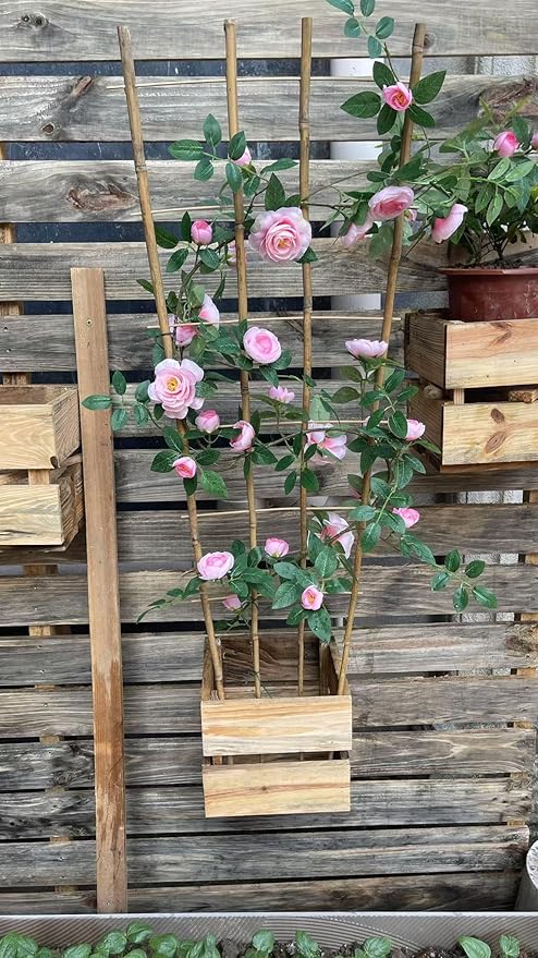Natural Bamboo Trellis, Fan-Shaped Plant Support Trellis - Image 7