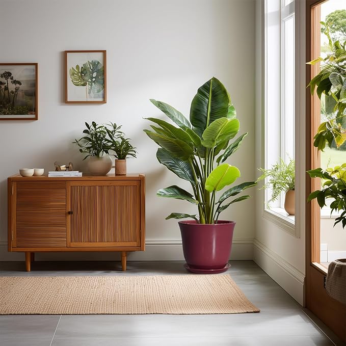 Ceramic Plant Pots - Image 3
