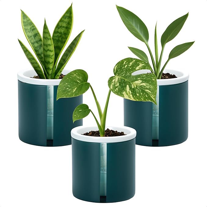 D'vine Dev 4 Inch Design Self Watering Planter by DvineDevPlanterPotsandStand