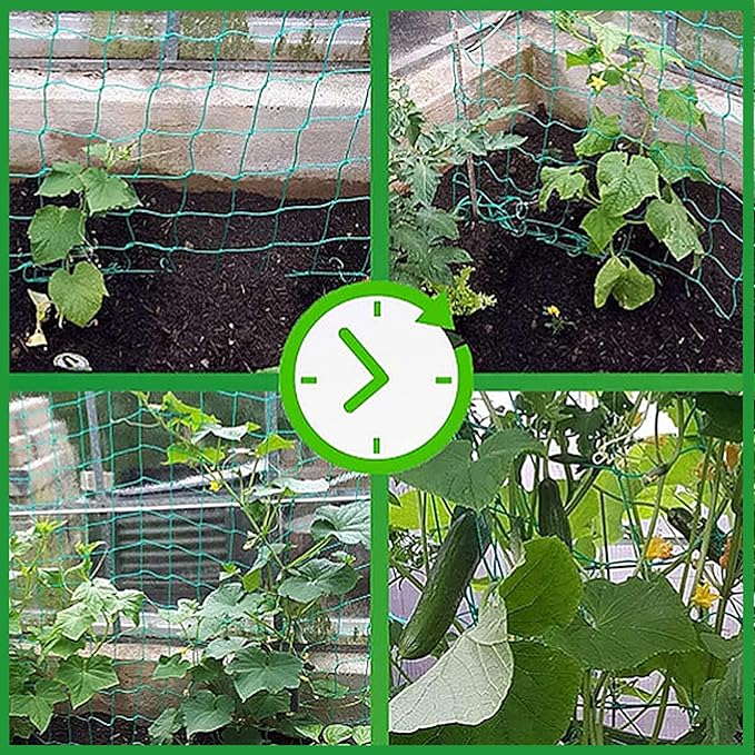 Trellis Netting for Climbing Plants - Image 4