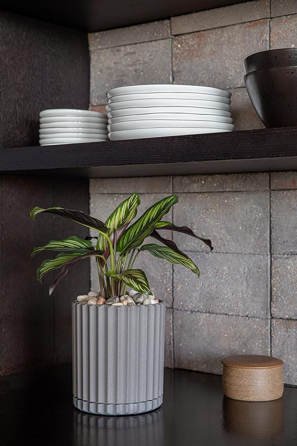 Veradek Demi Series Demi 6" Planter w/Tray - Image 5