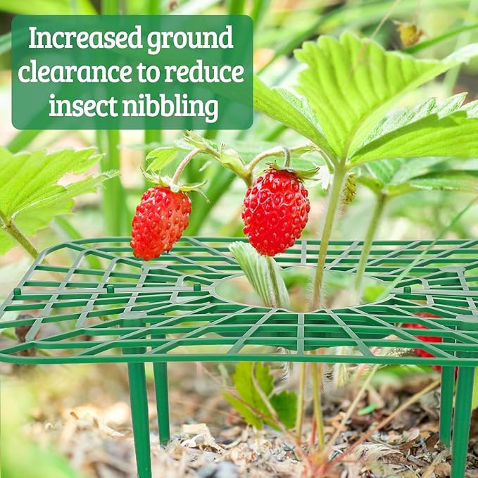 6 Sets Strawberry Plant Support - Image 6