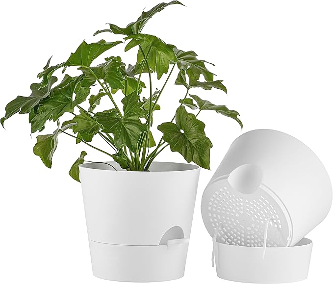 FaithLand 2-Pack 10 Inch Planter Pots by FaithLand