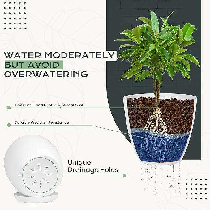 Utopia Home - Plant Pots Indoor - 7/6.6/6/5.3/4.8 Inches Flower Pots - Image 3