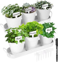 Herb Garden Planter Indoor Kit – 6 Metal Pots by Wacloud
