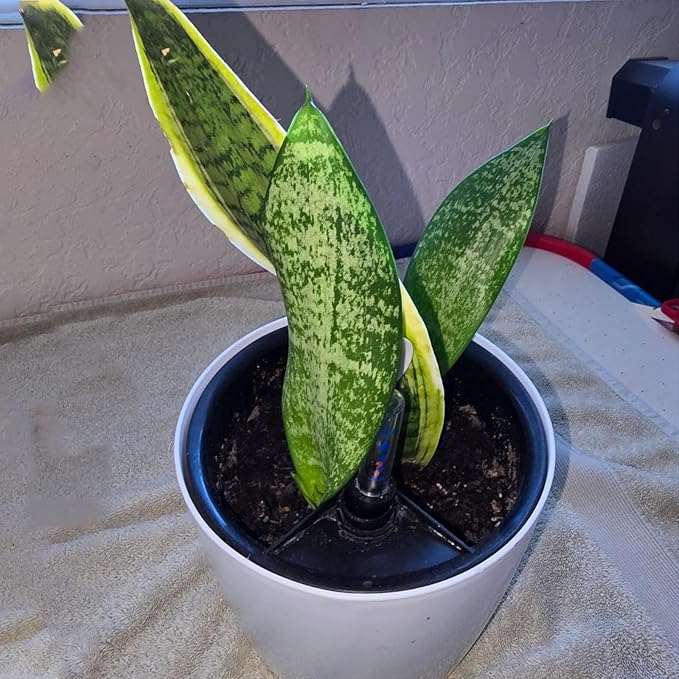 KINJOEK 4 Packs 7 Inch Self Watering Planter - Image 5