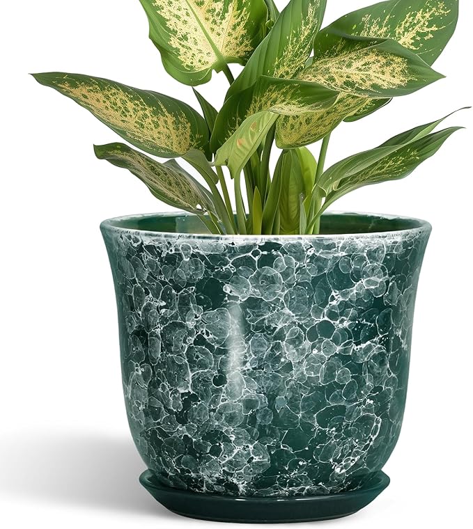 Ceramic Pots for Plants by SUNPOTFOR