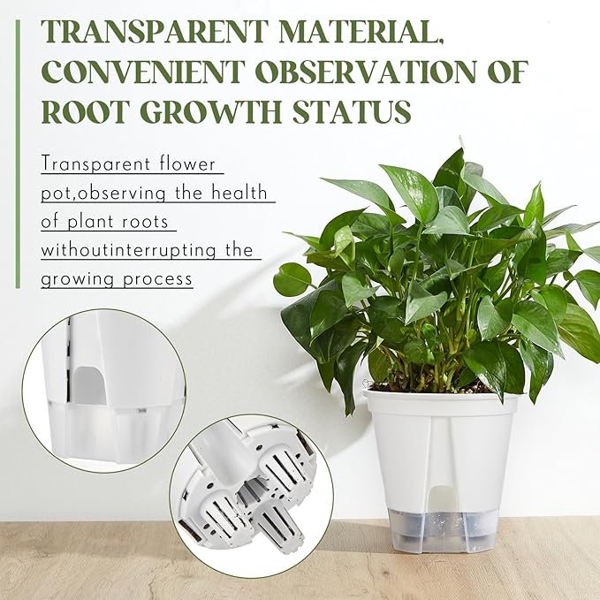 Self Watering Pots for Indoor Plants - Image 4