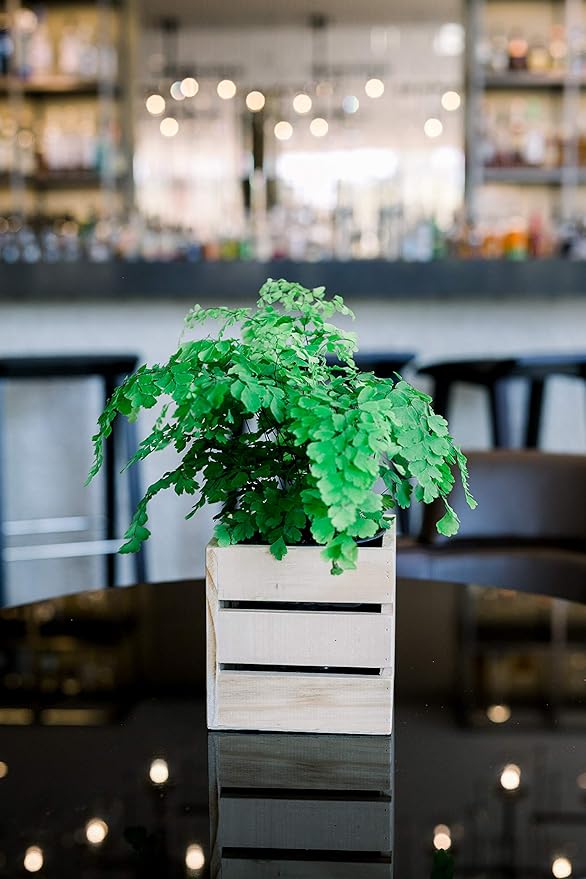 Wood Planter Box with Wine Crate Styled, 5 Inch Square, Rose Wood, Plastic Liner - Image 6