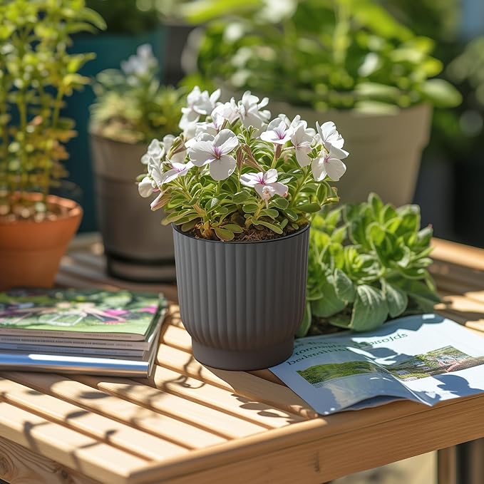 T4U 4 Inch Plant Pots Self Watering, 6 Pack African Violet Pots, Small Plant - Image 7