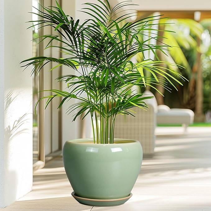 8 Inch Plant Pot - Image 4