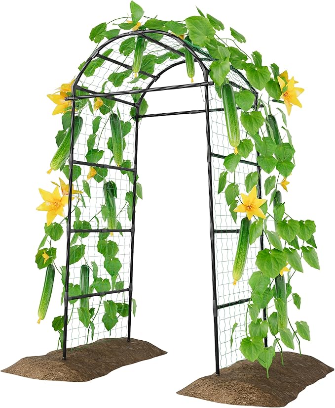 Miory Garden Arch Trellis for Climbing Plants Outdoor, Metal Plants Support by Miory