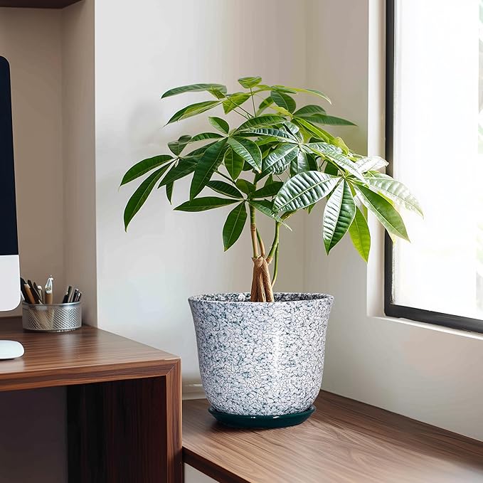Ceramic Pots for Plants - Image 3