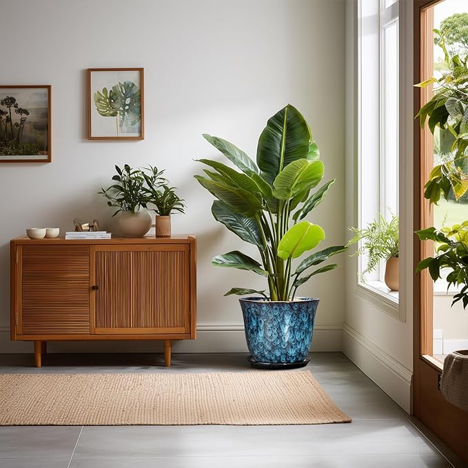 10 Inch Plant Pot - Image 3