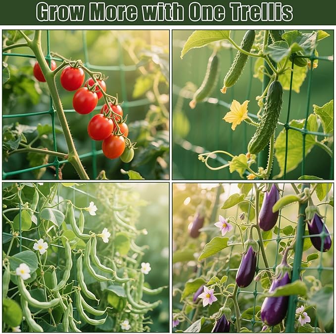 Miory Cucumber Trellis for Raised Beds, 32 x 63 Inch Metal U-Frame Garden - Image 7